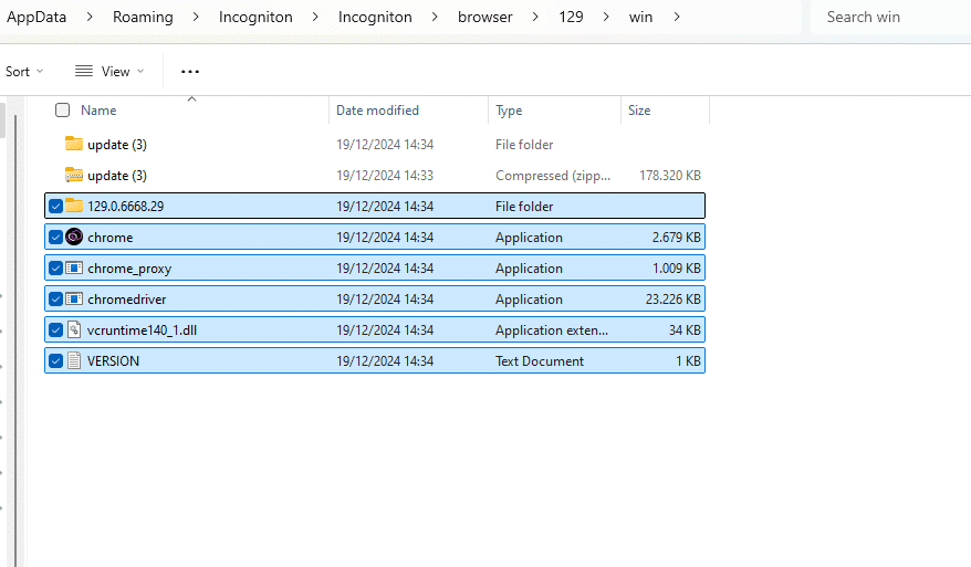 Screenshot of browser files in a folder after installation.